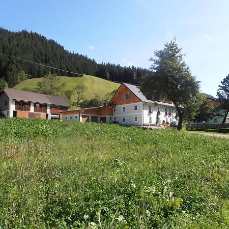 Huberbauer Villa Johnsbach ภายนอก รูปภาพ