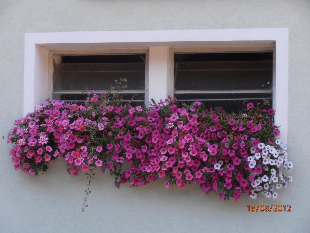 Huberbauer Villa Johnsbach ภายนอก รูปภาพ