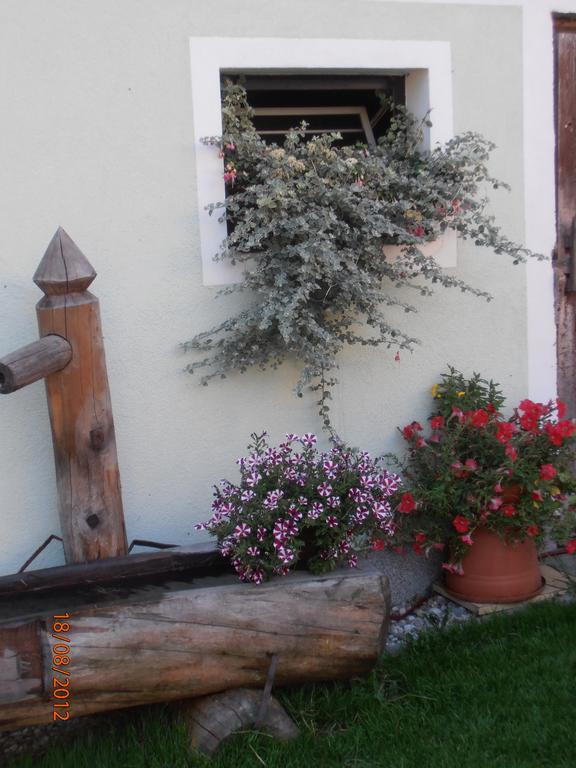 Huberbauer Villa Johnsbach ภายนอก รูปภาพ