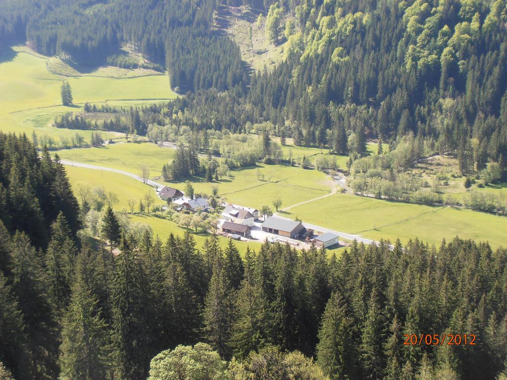 Huberbauer Villa Johnsbach ห้อง รูปภาพ