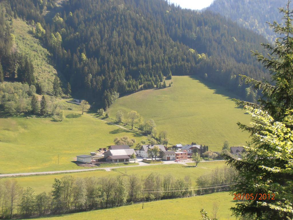 Huberbauer Villa Johnsbach ห้อง รูปภาพ