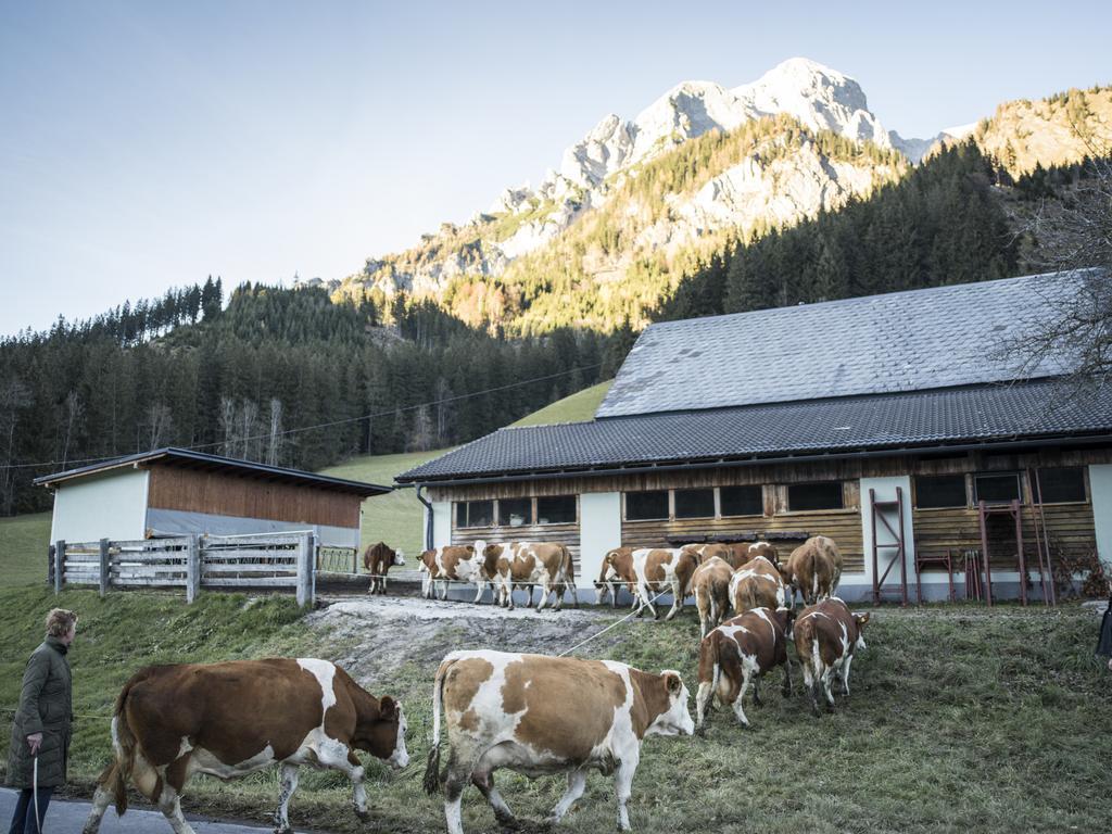 Huberbauer Villa Johnsbach ภายนอก รูปภาพ