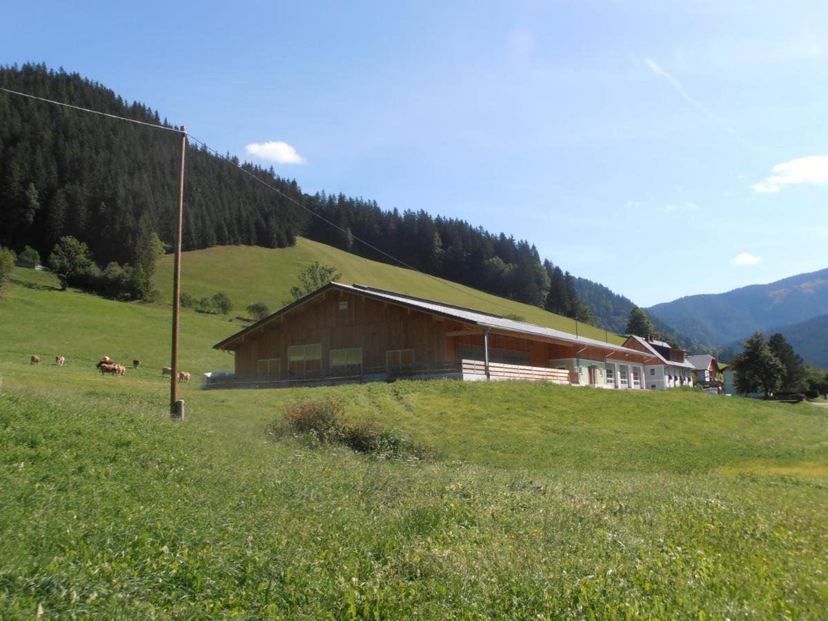 Huberbauer Villa Johnsbach ภายนอก รูปภาพ